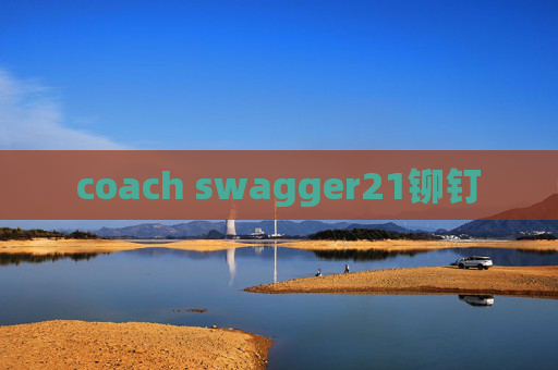 coach swagger21铆钉